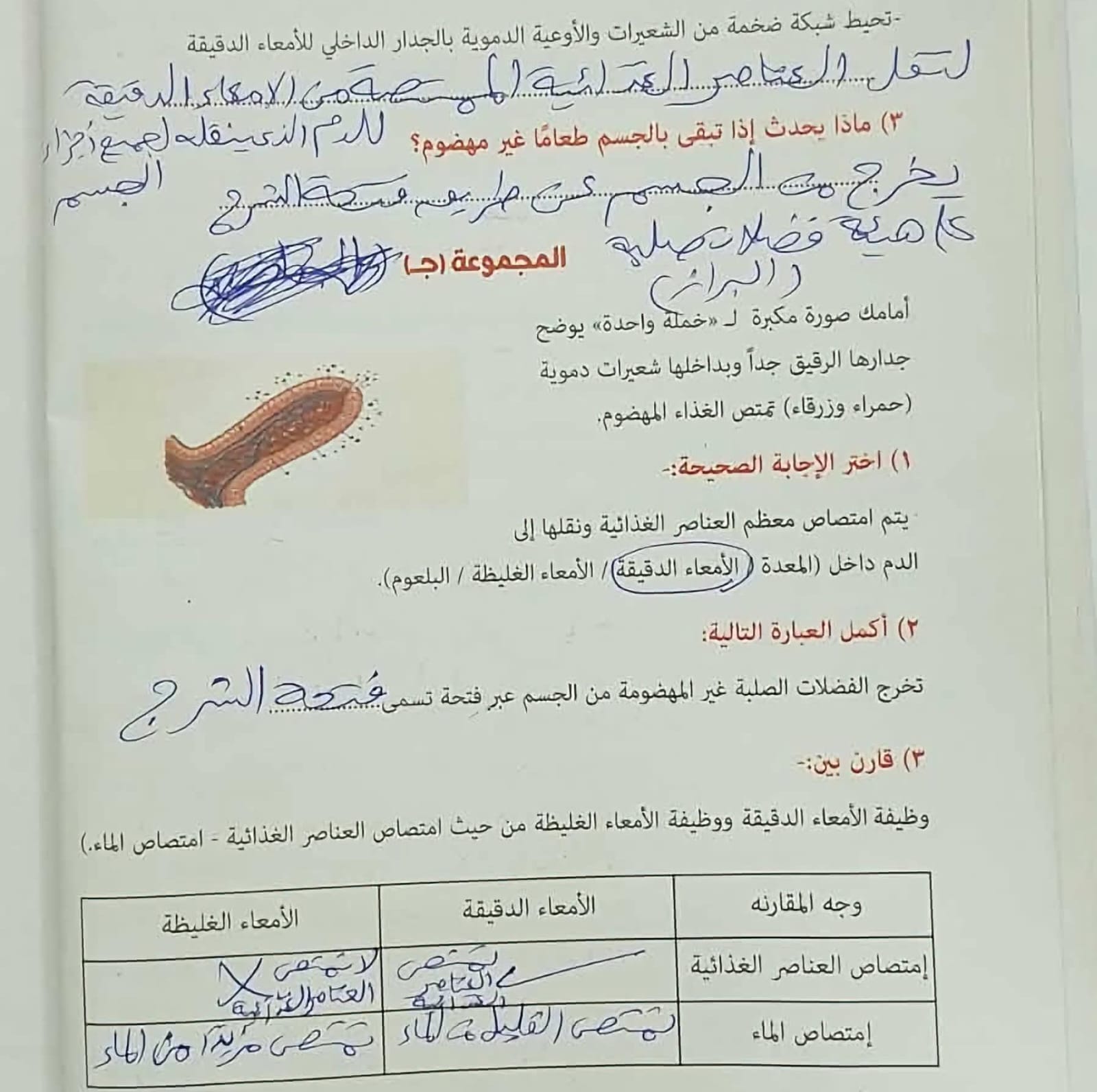 حل تقييمات علوم3